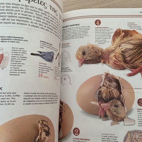 Atlas of Sciences Birds illustrated guide like new