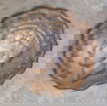 Κυπριακή λύρα 1942 μεταχειρισμένη, 1 πιαστρα