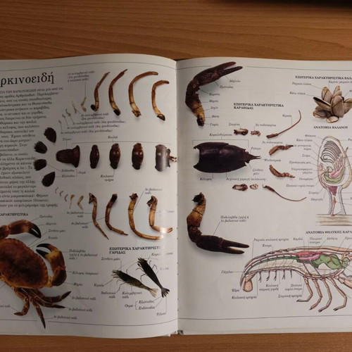 Ta Zoa panoramic animal encyclopedia like new, Greek language