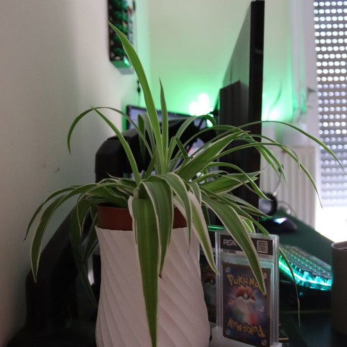 3D Printed Flowerpot Eco-Friendly, 20cm Adjustable Size