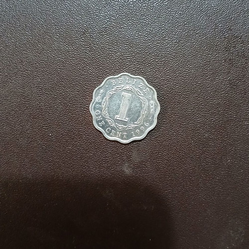 Belize 1996 1 Cent coin