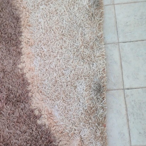 Shaggy Rissi rug used, 300cm x 200cm, earth tones
