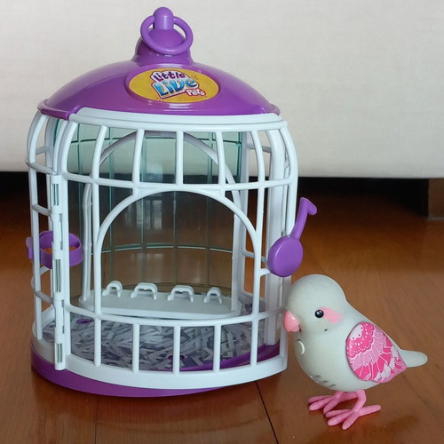 Talking Parrot toy like new with lockable cage