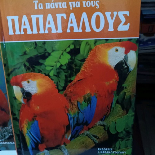 Book about parrots new