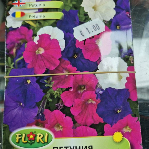 Petunia new seeds with great variety