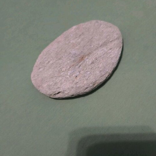 Decorative flat stone new, ready for painting, 1 piece