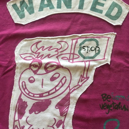 Sam long t-shirt for girl 10 years like new