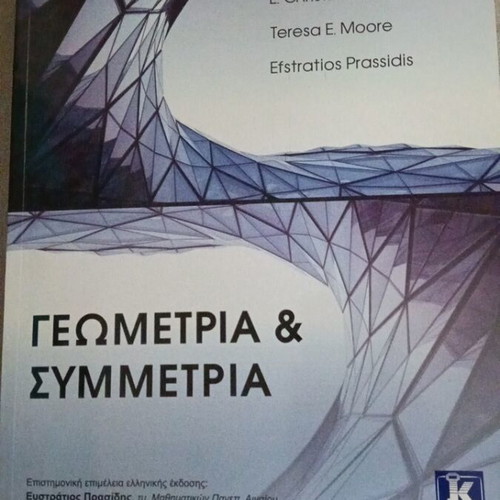 Geometry and Symmetry book like new