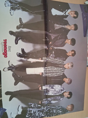 Marcus & Martinus Teenage poster, 52×40 cm