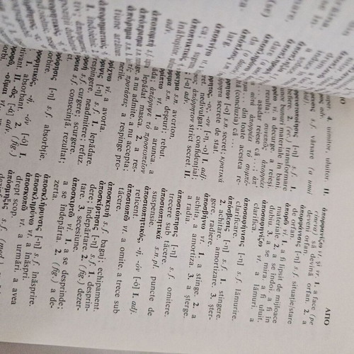 Complete Greek-Romanian Dictionary by Lambros Petsinis