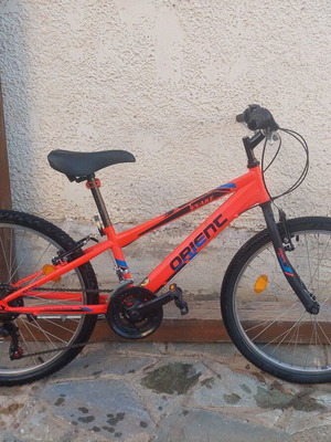 Orient Snake 2019 mountain bike 24" used with front suspension and V-brakes