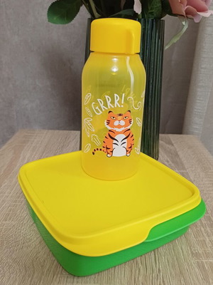 Tupperware set with compartments and 350ml bottle new