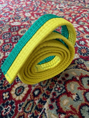 Martial arts karate Tae Kwo Do belt used