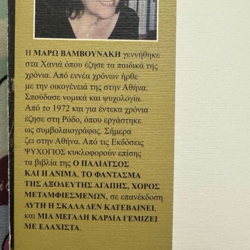 To Chroniko Mias Moicheias novel like new