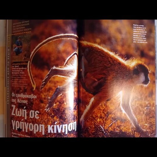 National Geographic magazines like new, pack of 2, Feb and May 2004
