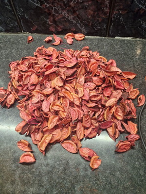 Orange decorative petals used