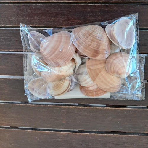 Natural seashell collection like new, pack of 25 from Greek beaches