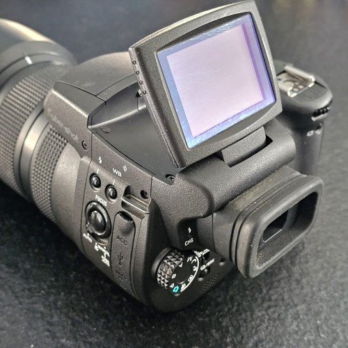 Sony Cyber-shot DSC-R1 camera with Carl Zeiss T* lens