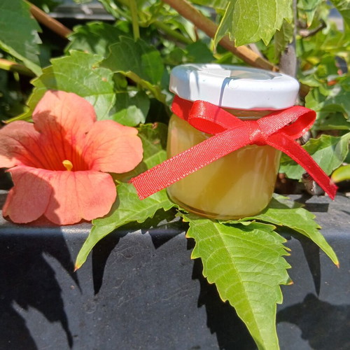 Homemade beeswax ointment with 100% beeswax