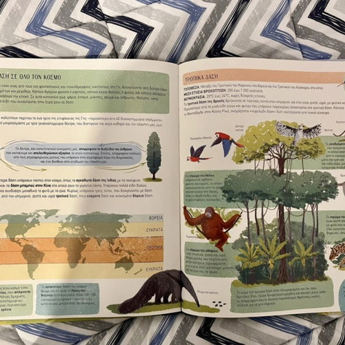 Book How the Forest Is Created like new, children’s