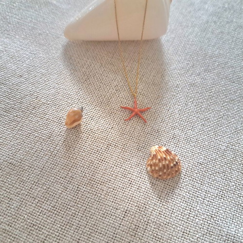 925 Silver Gold-Plated Necklace with Coral Starfish, Solar Tide Collection