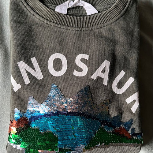 H&M boys' sweatshirt 6-8 years, grey