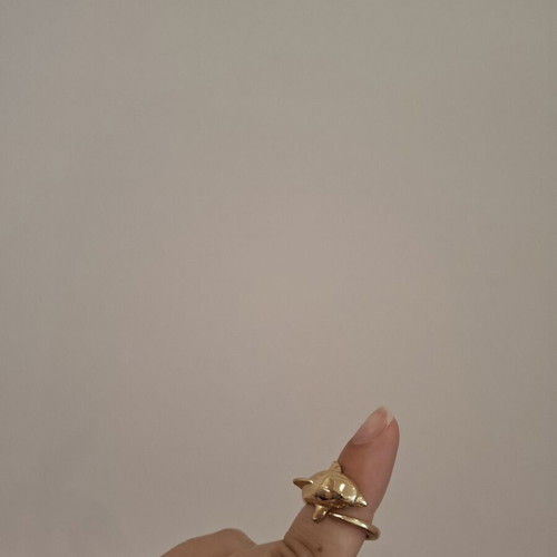 Dolphin ring used, gold color