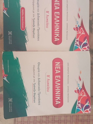 Nea Ellinika B Lykeiou study guide and answer book like new