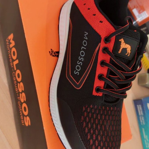 Molossos Safety Shoe Black S1P with SRC Certification