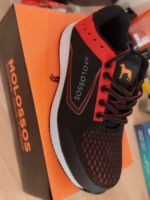 Molossos Safety Shoe Black S1P with SRC Certification