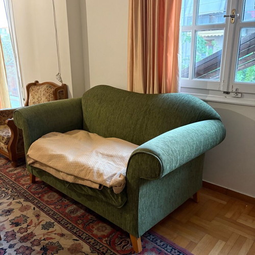 Living room sofa used, needs upholstery change