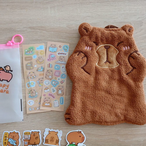 Capybara gift set new with pouch, hand towel and stickers