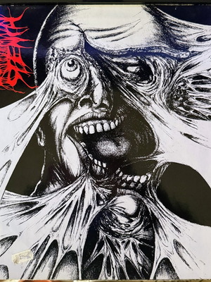 Disharmonic Orchestra / Pungent Stench Split LP σαν καινούργιο, metal