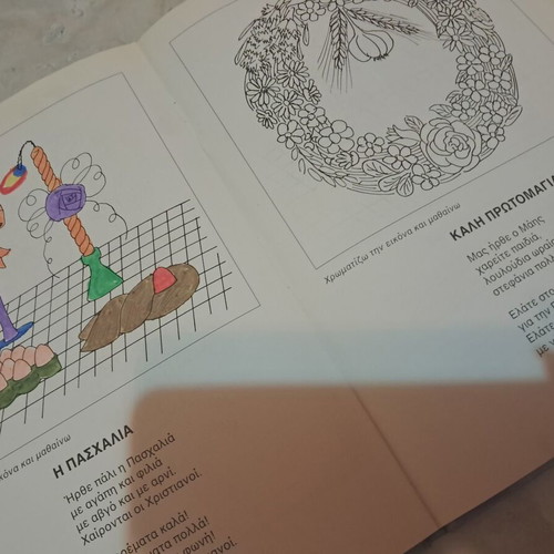 Coloring the Pictures and Learning children's educational book used