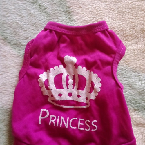 Clothing for very small dog new
