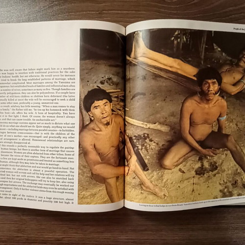 The world’s wild places: The Amazon