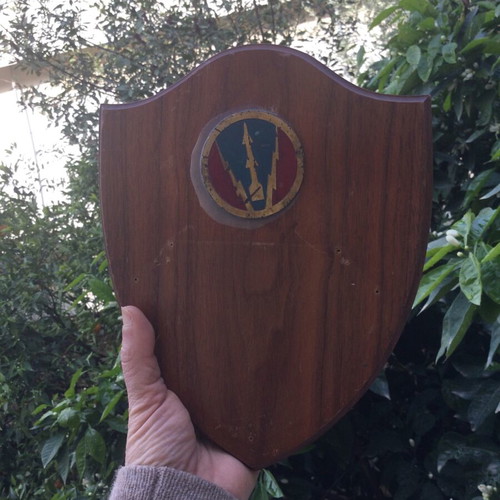 Military forces wall shield used