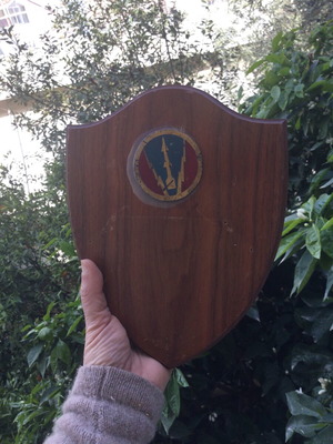 Military forces wall shield used