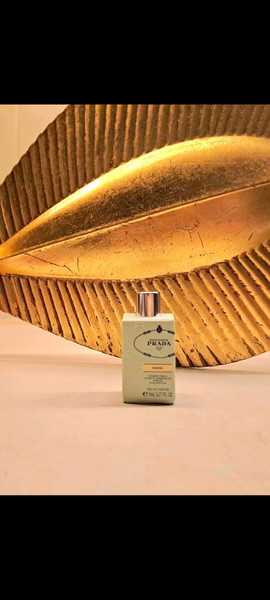 PRADA MIMOSA