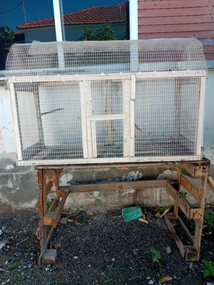 Birdcage used for molting