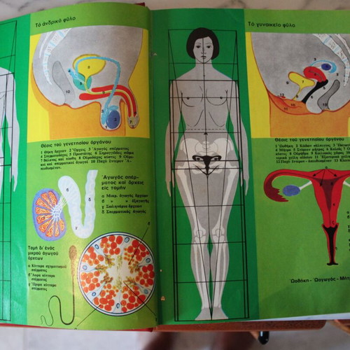 Dictionary of Human Anatomy 1963, new, Greek language