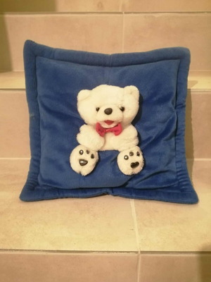 Pillow with teddy bear used