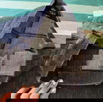  Φούστα τζιν ελαστική Μ, Metalaxis