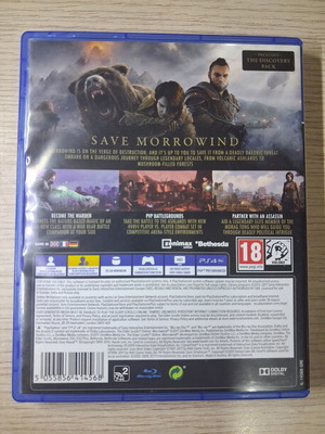 The Elder Scrolls Online Morrowind PS4 game