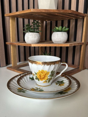 Trio Bavaria used tea cup set