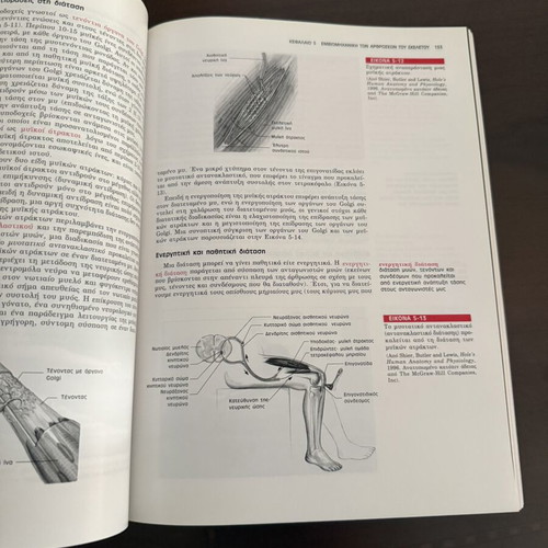 Susan J. Hall Biomechanics 4th Edition