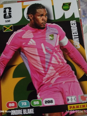 Panini Adrenalyn XL FIFA World Cup 2026 sticker No530