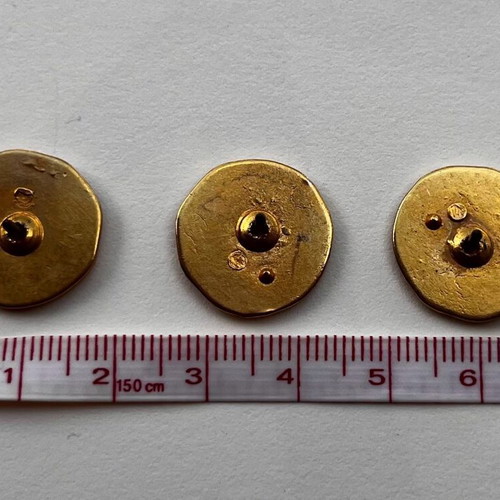 Pins set with Vergina star like new without fasteners