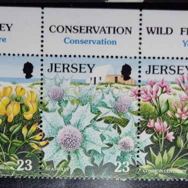 Jersey Unused Wild Flowers Stamp Series New