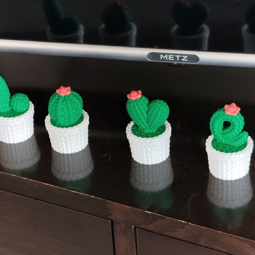 3D-Printed Mini Cactus Set Love, new